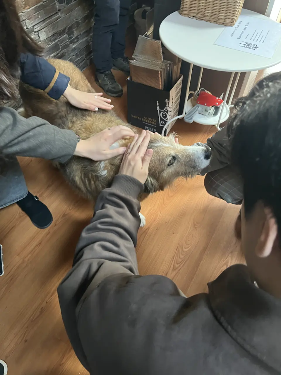 Rua de Santa Eufêmia, Viseu