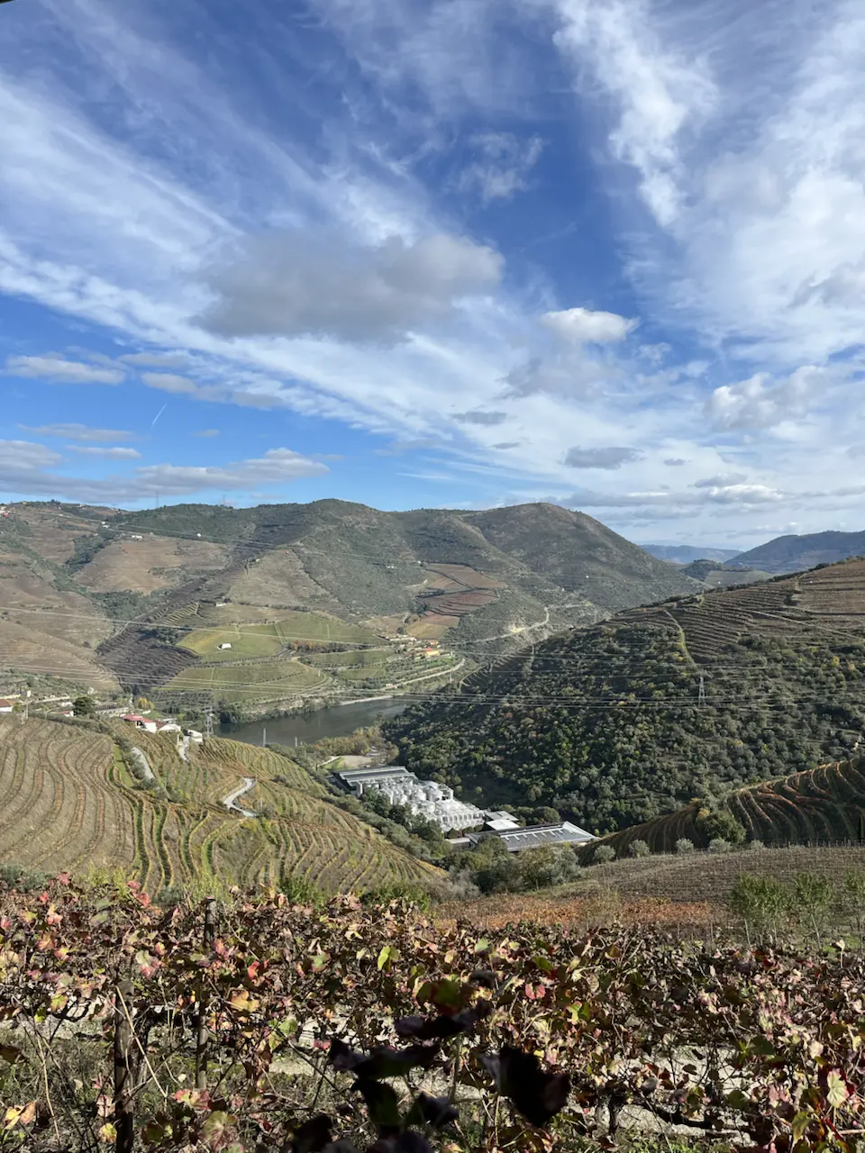 Rua de Santa Eufêmia, Viseu