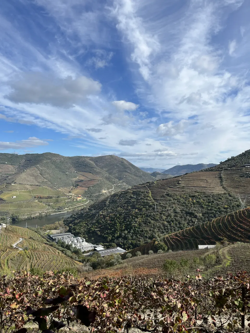 Rua de Santa Eufêmia, Viseu