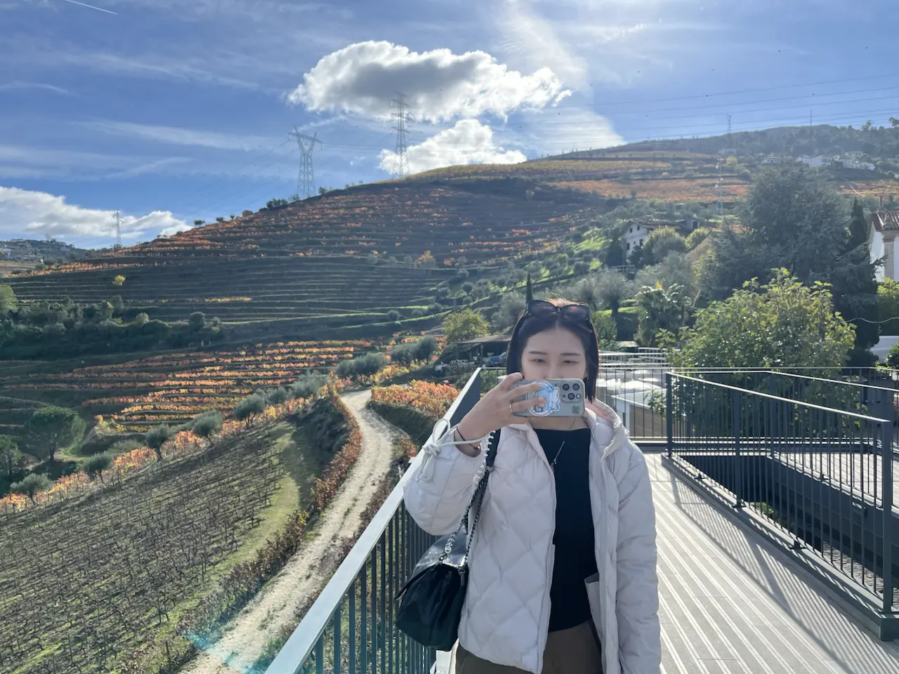 Rua de Santa Eufêmia, Viseu