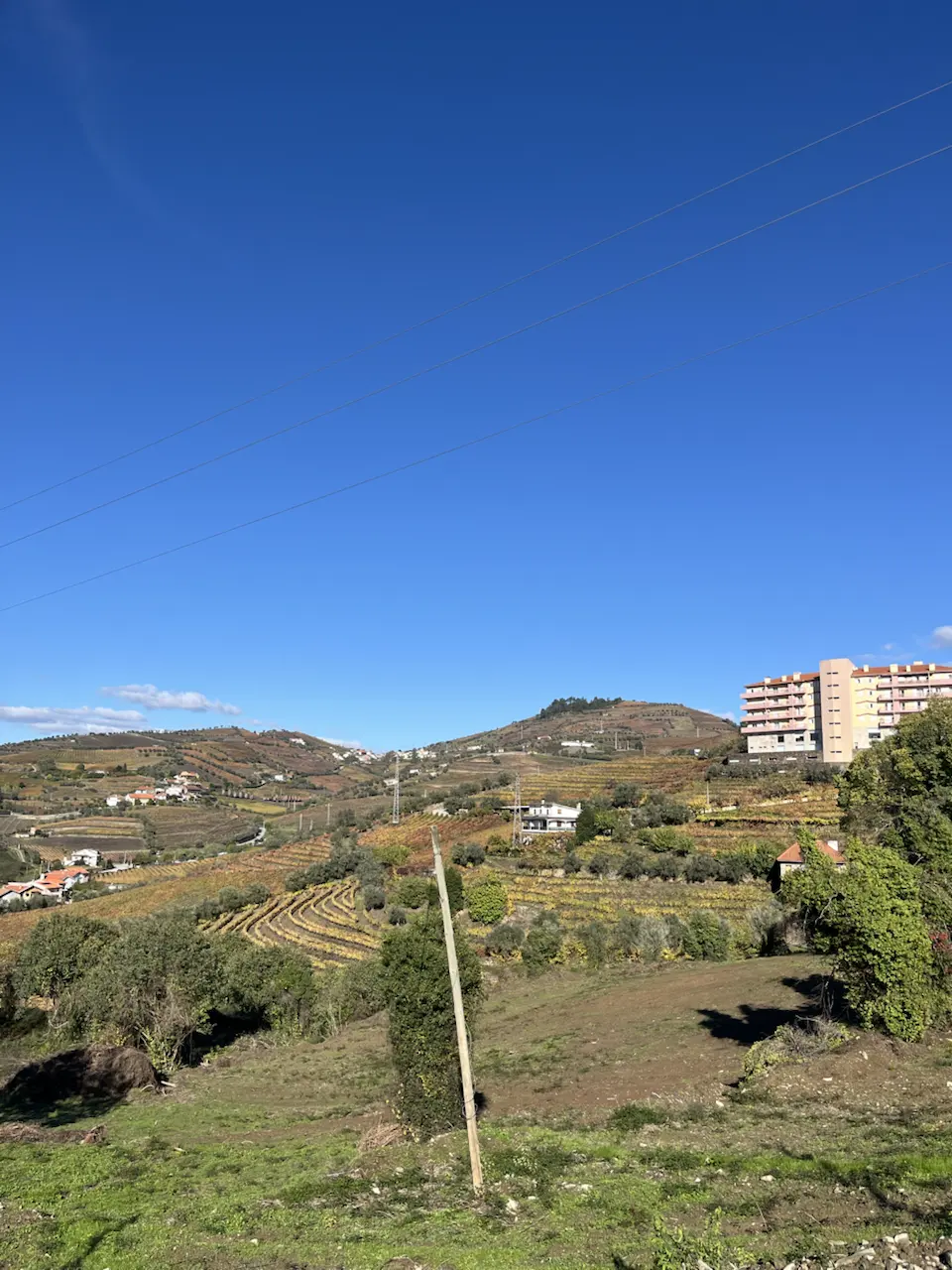 3829–3875 Avenida Dr Manuel de Arriaga, Vila Real