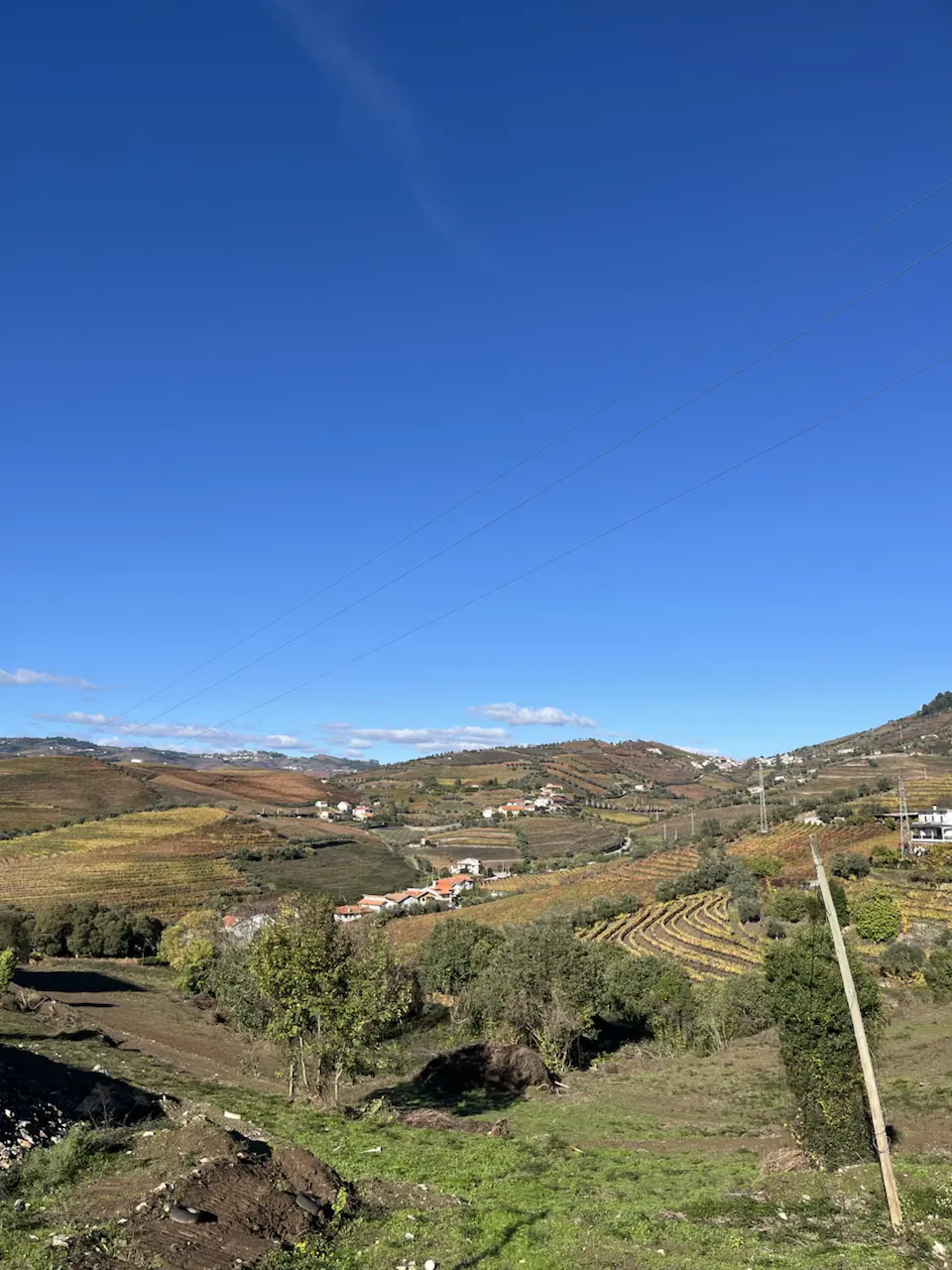 3829–3875 Avenida Dr Manuel de Arriaga, Vila Real