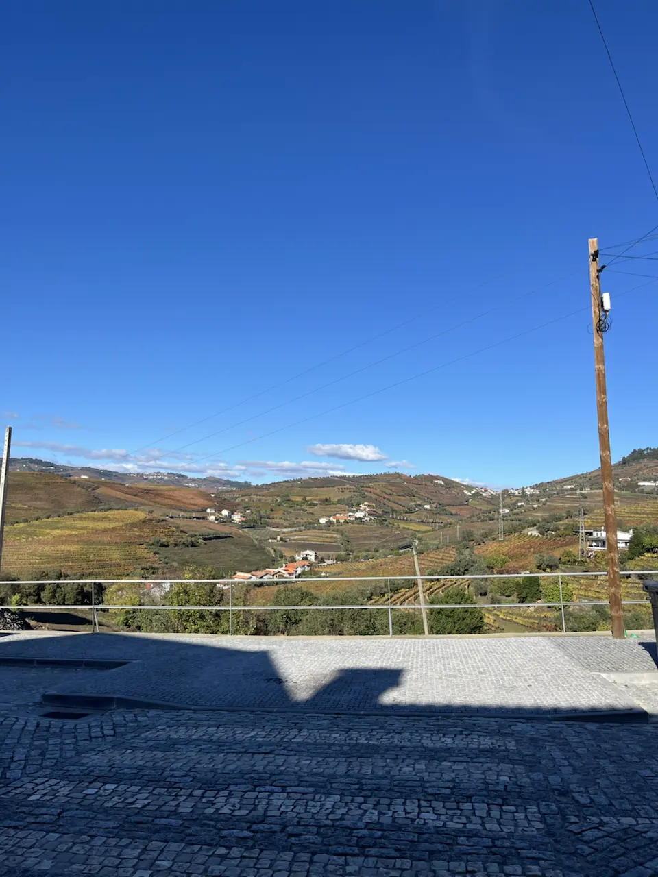 3829–3875 Avenida Dr Manuel de Arriaga, Vila Real