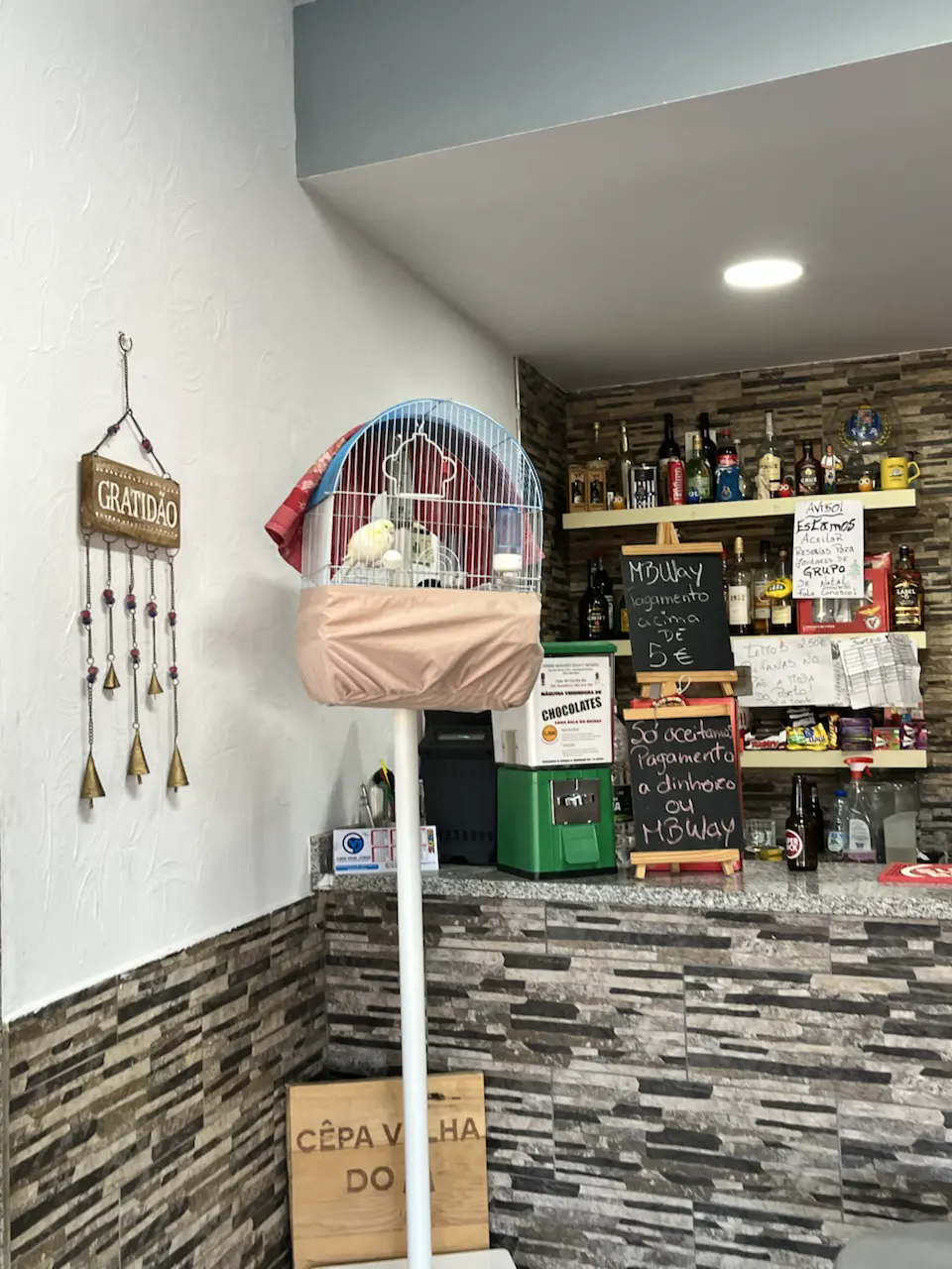 3829–3875 Avenida Dr Manuel de Arriaga, Vila Real