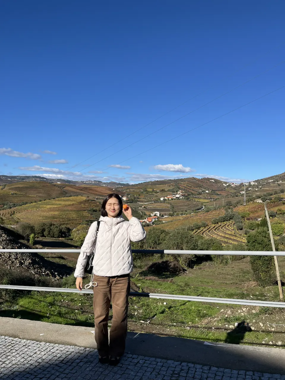 3829–3875 Avenida Dr Manuel de Arriaga, Vila Real