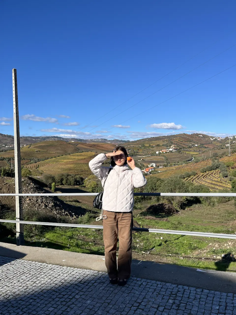 3829–3875 Avenida Dr Manuel de Arriaga, Vila Real