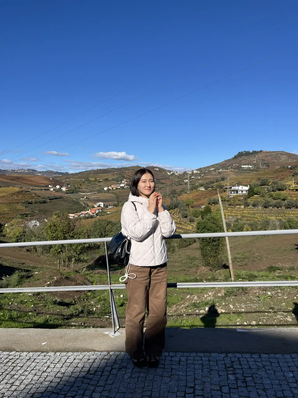 3829–3875 Avenida Dr Manuel de Arriaga, Vila Real