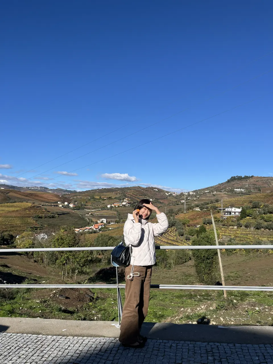 3829–3875 Avenida Dr Manuel de Arriaga, Vila Real