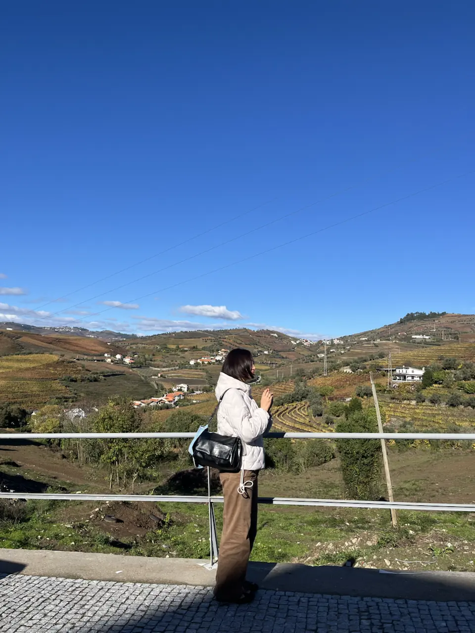 3829–3875 Avenida Dr Manuel de Arriaga, Vila Real