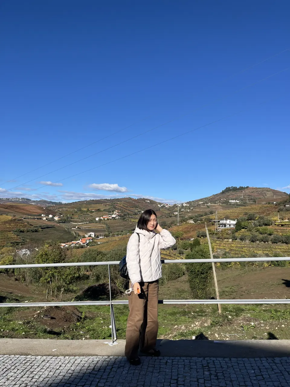 3829–3875 Avenida Dr Manuel de Arriaga, Vila Real