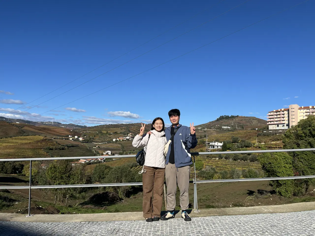 3829–3875 Avenida Dr Manuel de Arriaga, Vila Real