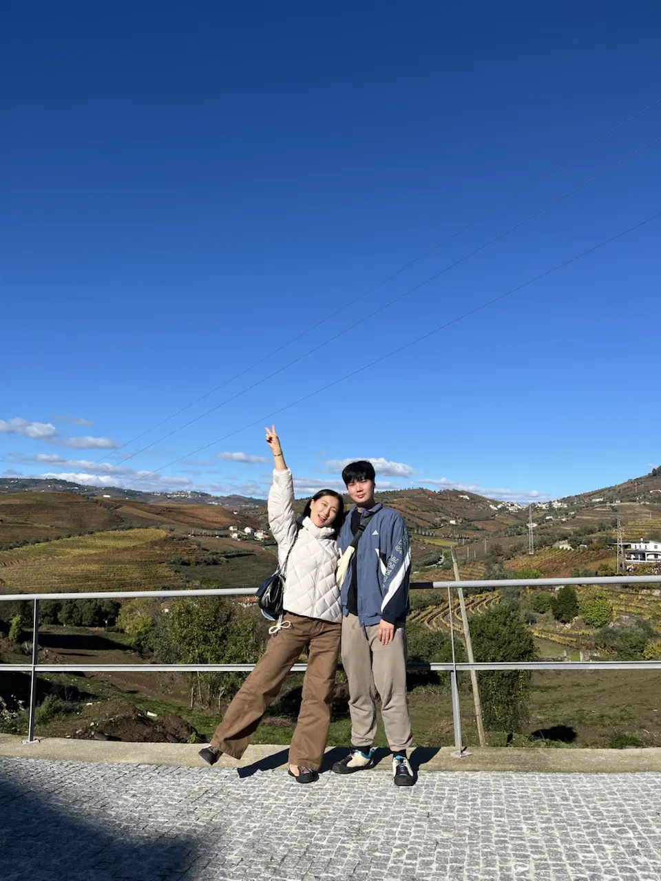 3829–3875 Avenida Dr Manuel de Arriaga, Vila Real