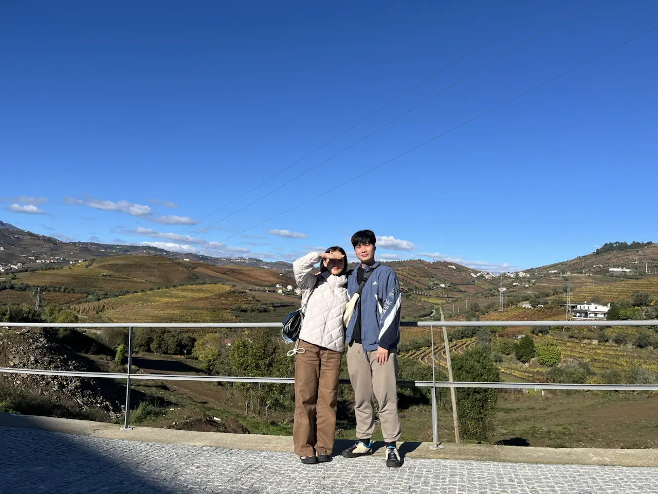 3829–3875 Avenida Dr Manuel de Arriaga, Vila Real