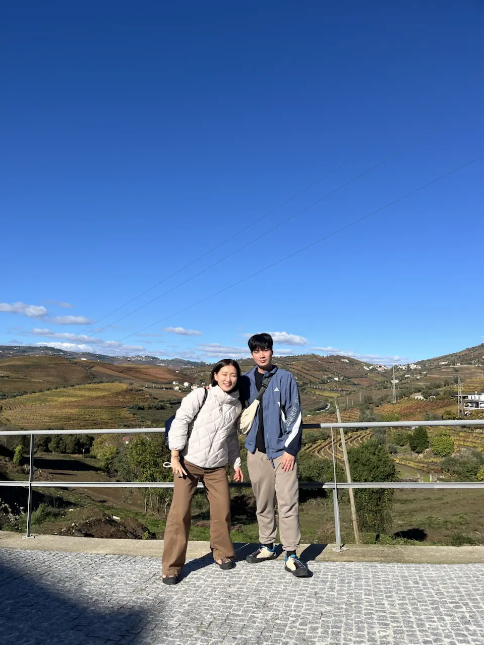 3829–3875 Avenida Dr Manuel de Arriaga, Vila Real