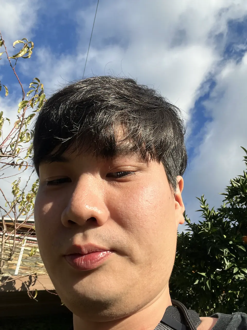 4 Rua da Calçada, União das freguesias de Vale de Mendiz, Casal de Loivos e Vilarinho de Cotas, Vila Real, Casal de Loivos