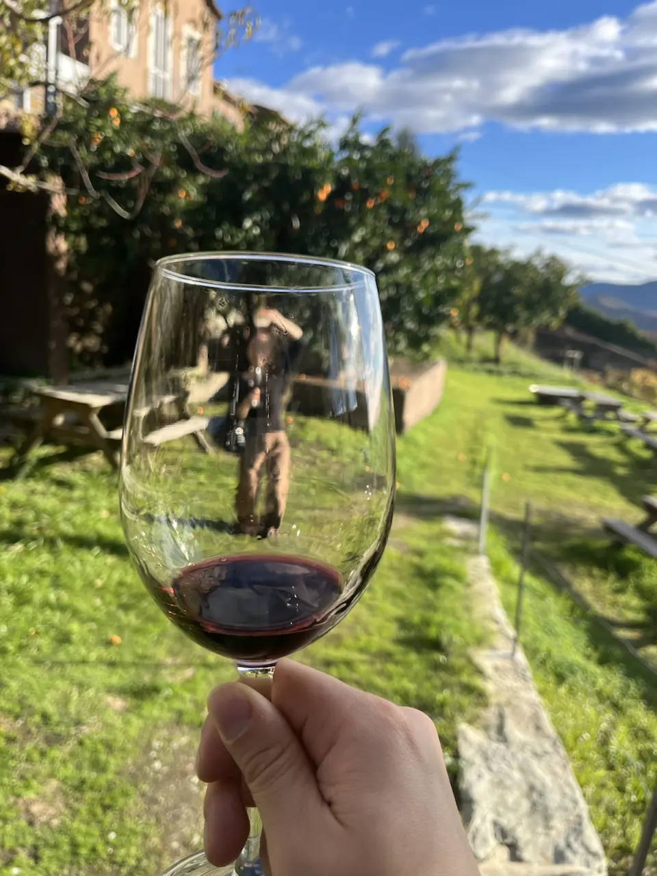 蜜月第4天：漫步波尔图——教堂与莱鲁书店，以及纪念品