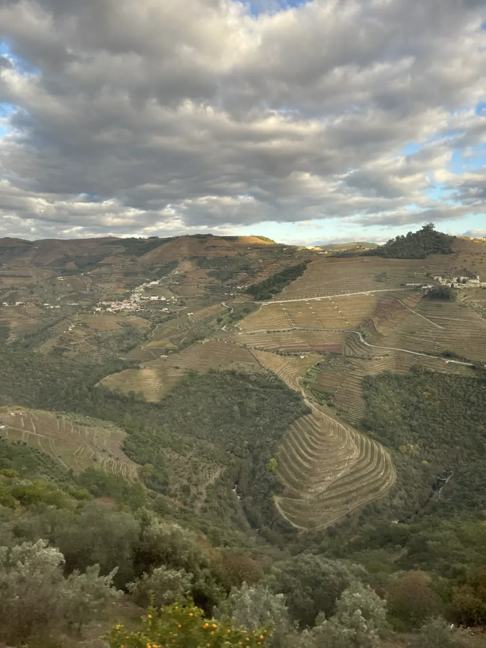 N 323, União das freguesias de Provesende, Gouvães do Douro e São Cristóvão do Douro, Vila Real, Provesende