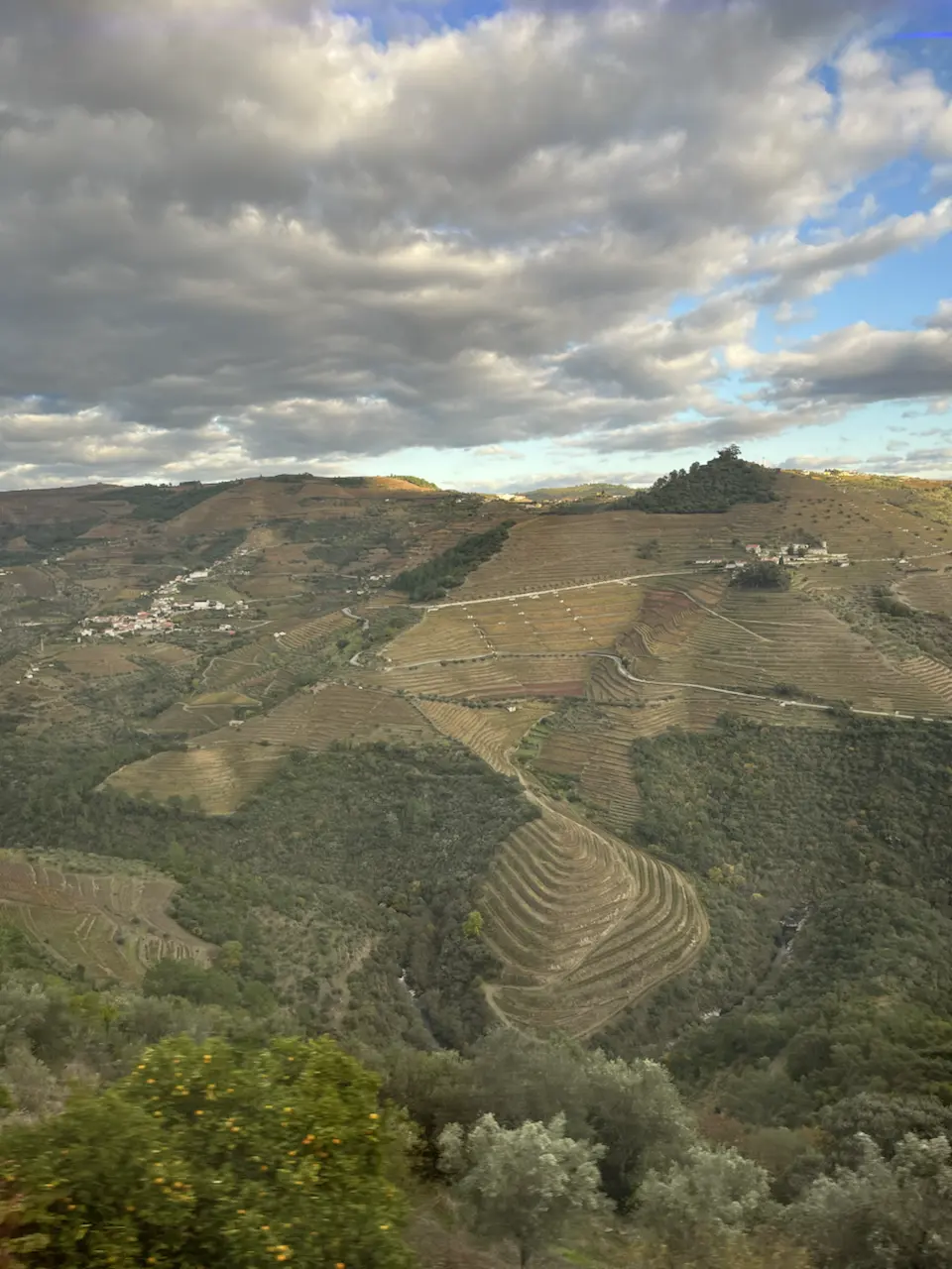 N 323, União das freguesias de Provesende, Gouvães do Douro e São Cristóvão do Douro, Vila Real, Provesende