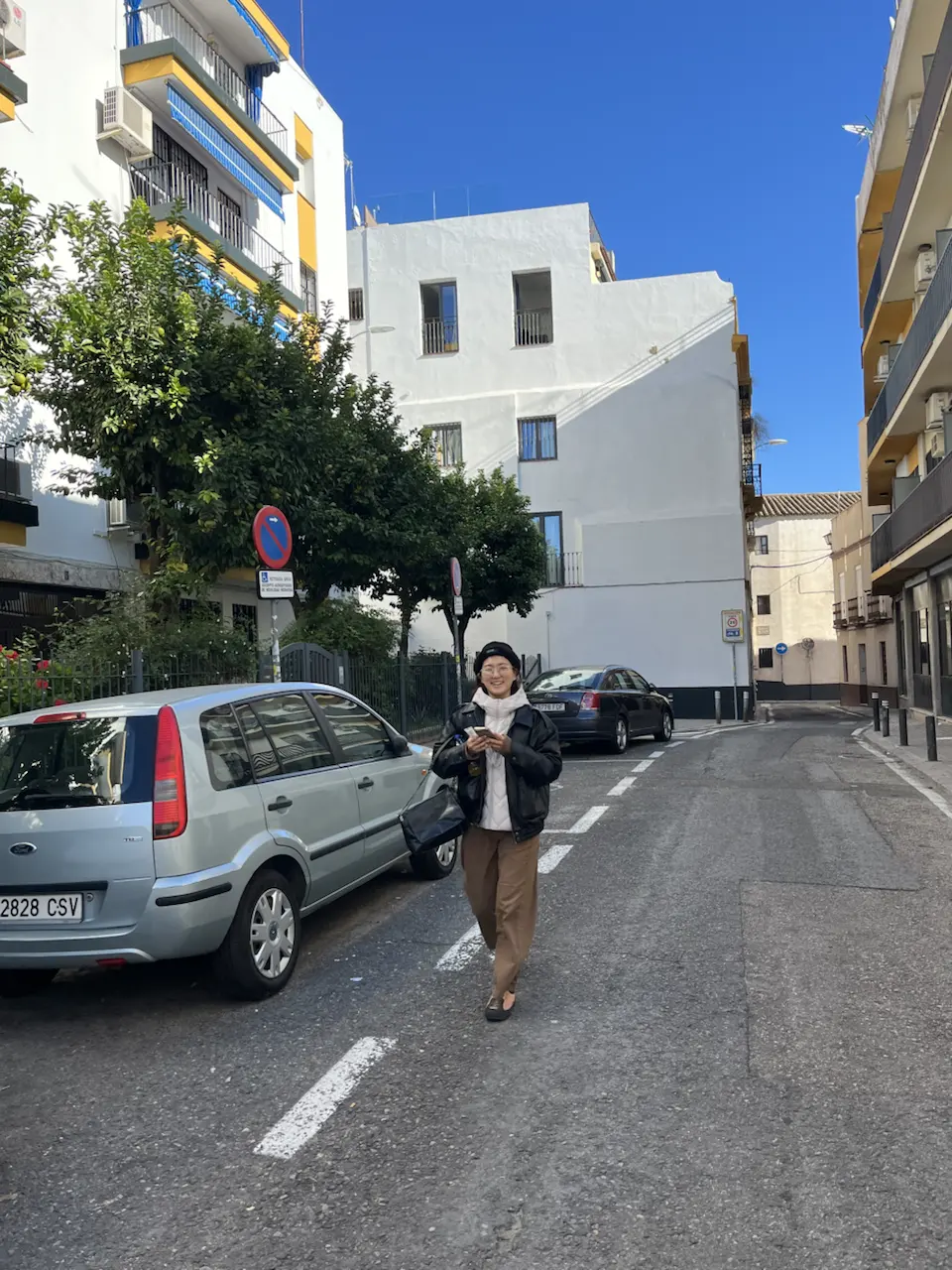 3N Calle del Cardenal Cervantes