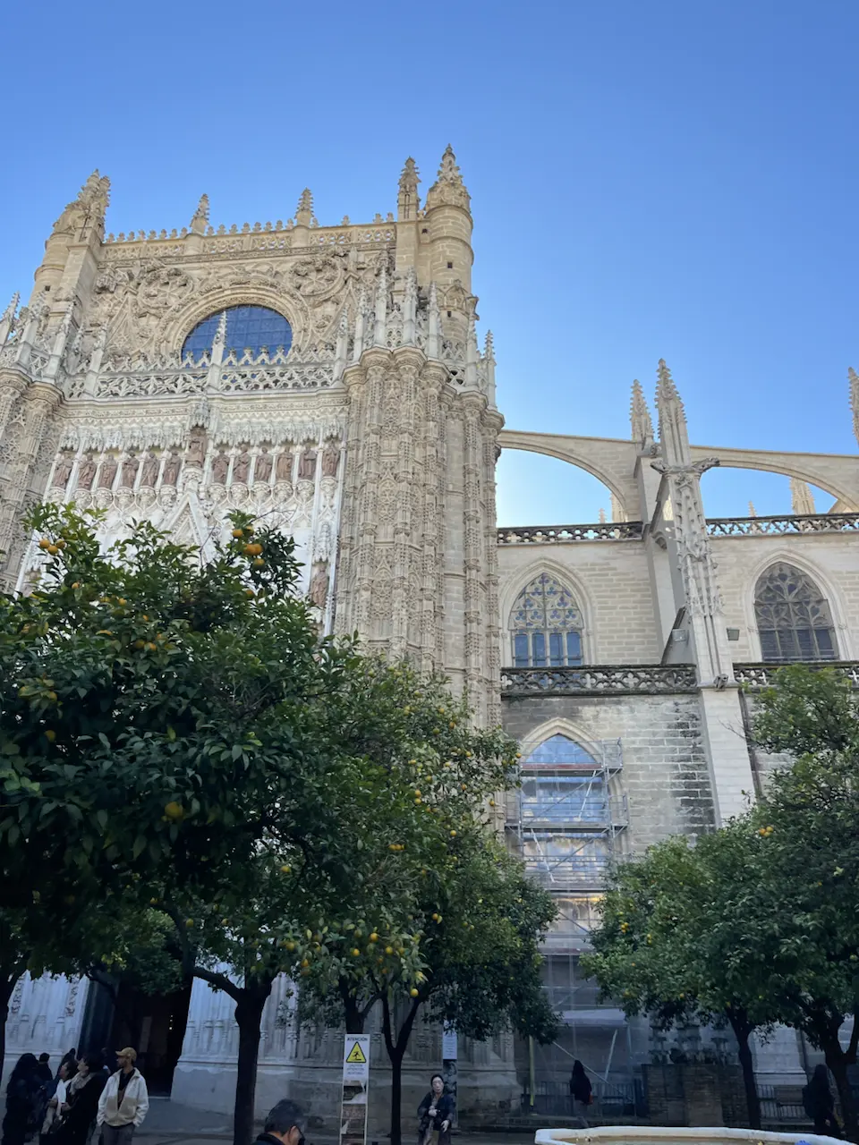 6 Plaza de la Virgen de los Reyes