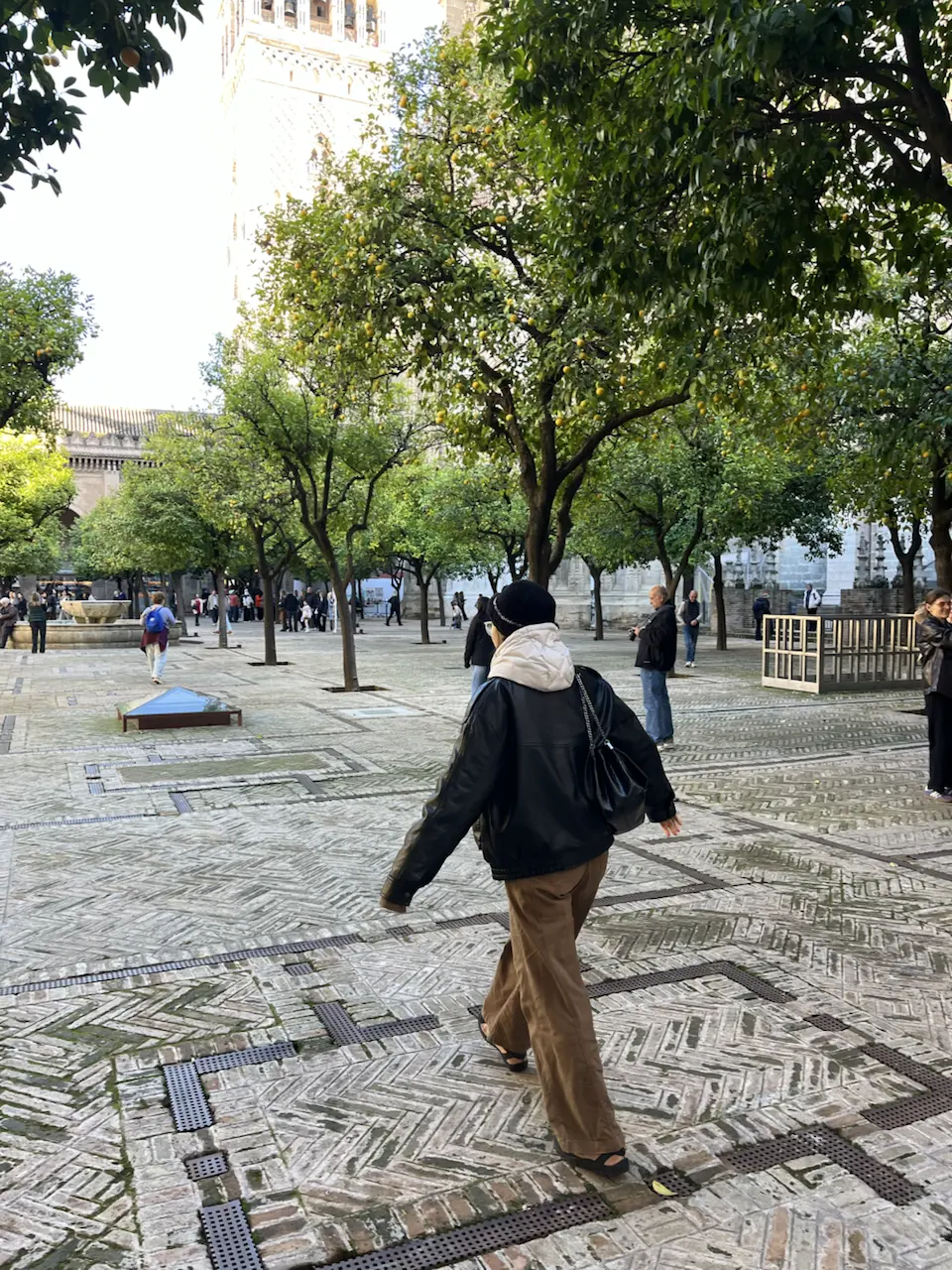 6 Plaza de la Virgen de los Reyes