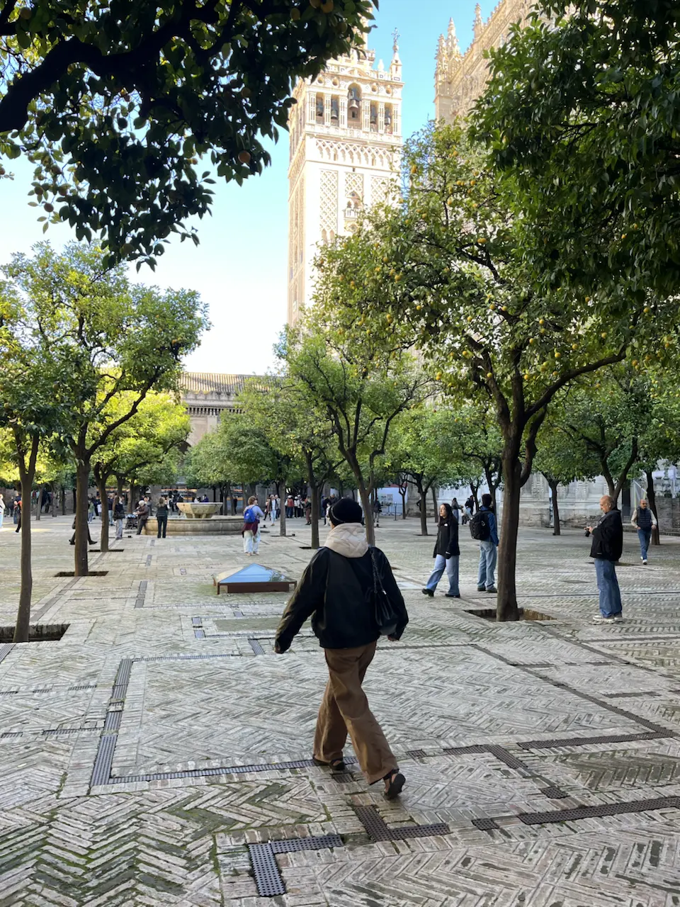 6 Plaza de la Virgen de los Reyes