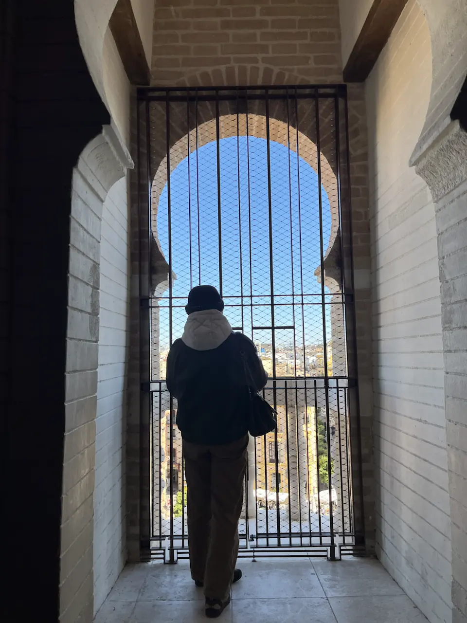 6 Plaza de la Virgen de los Reyes