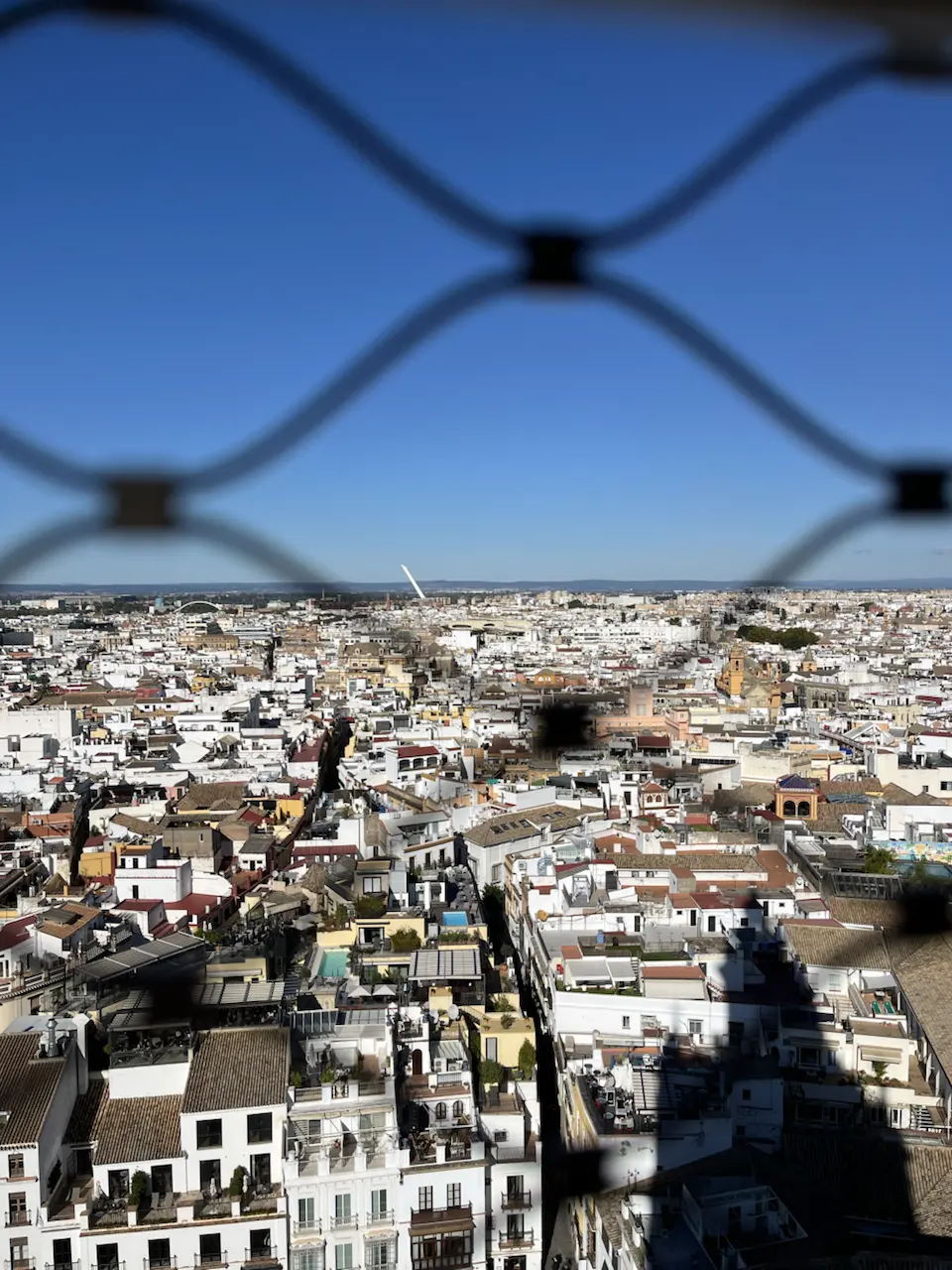6 Plaza de la Virgen de los Reyes