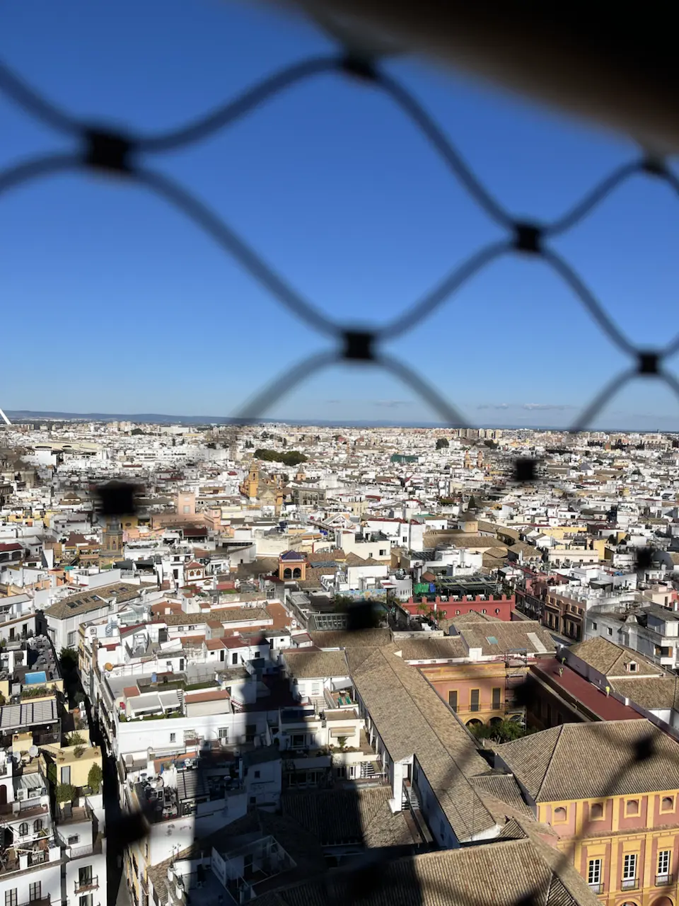 6 Plaza de la Virgen de los Reyes