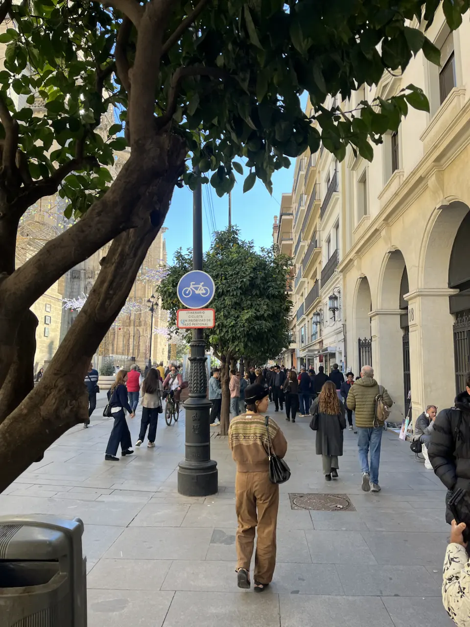 6 Plaza de la Virgen de los Reyes