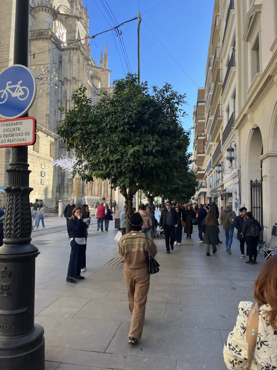 6 Plaza de la Virgen de los Reyes