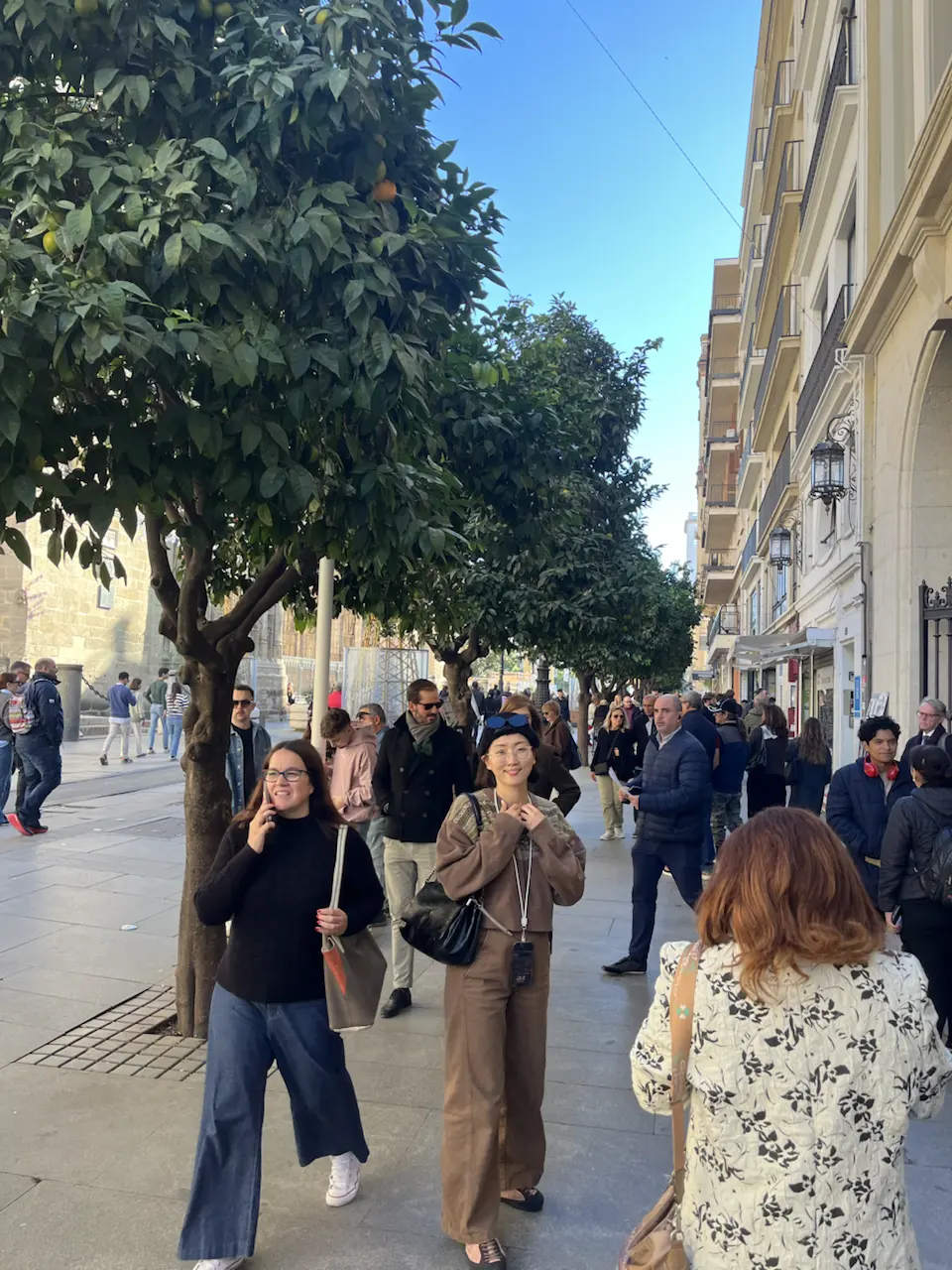 6 Plaza de la Virgen de los Reyes