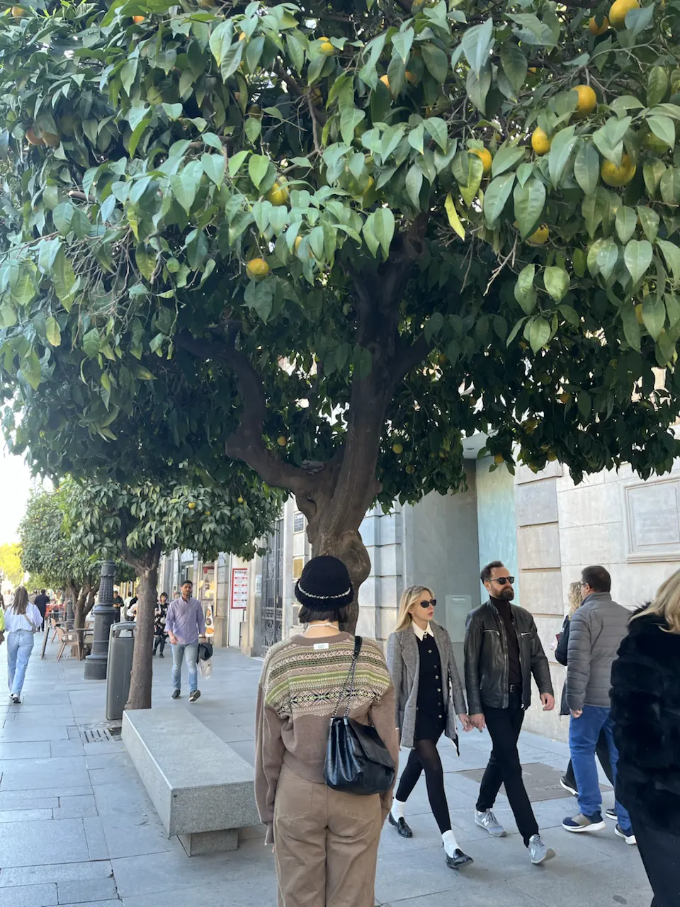 6 Plaza de la Virgen de los Reyes