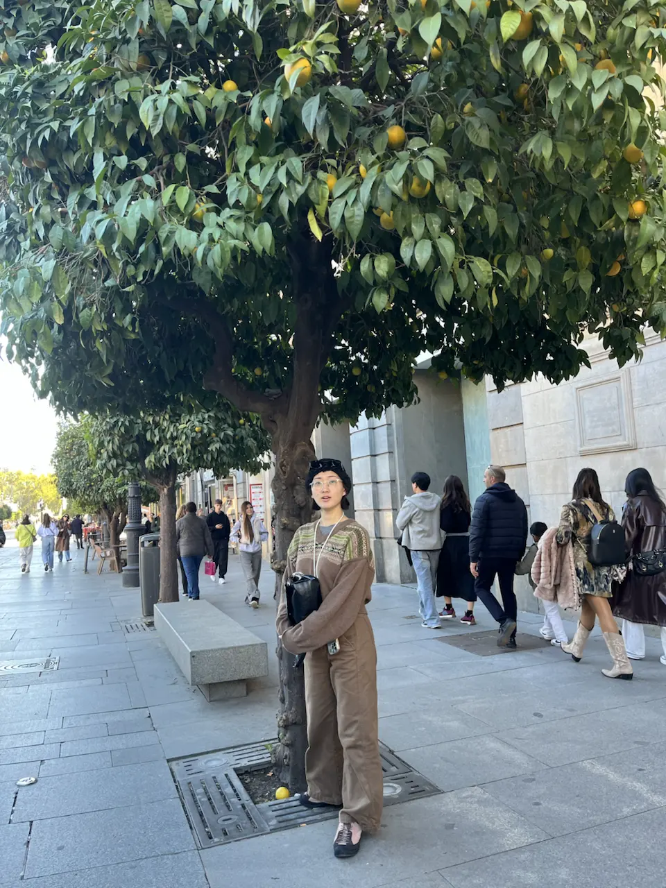 6 Plaza de la Virgen de los Reyes