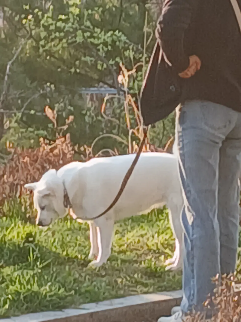 27-160 Yeomni-dong, Seoul