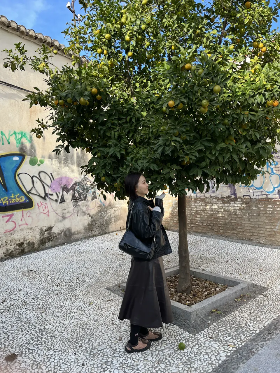 1 Calle Torres Bermejas