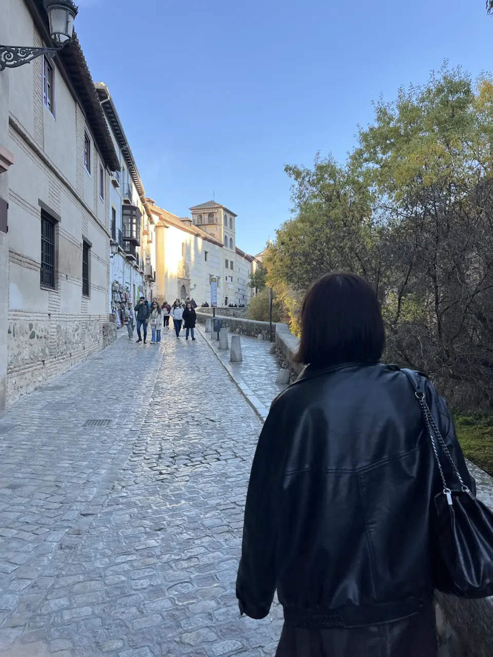 33 Carrera del Darro