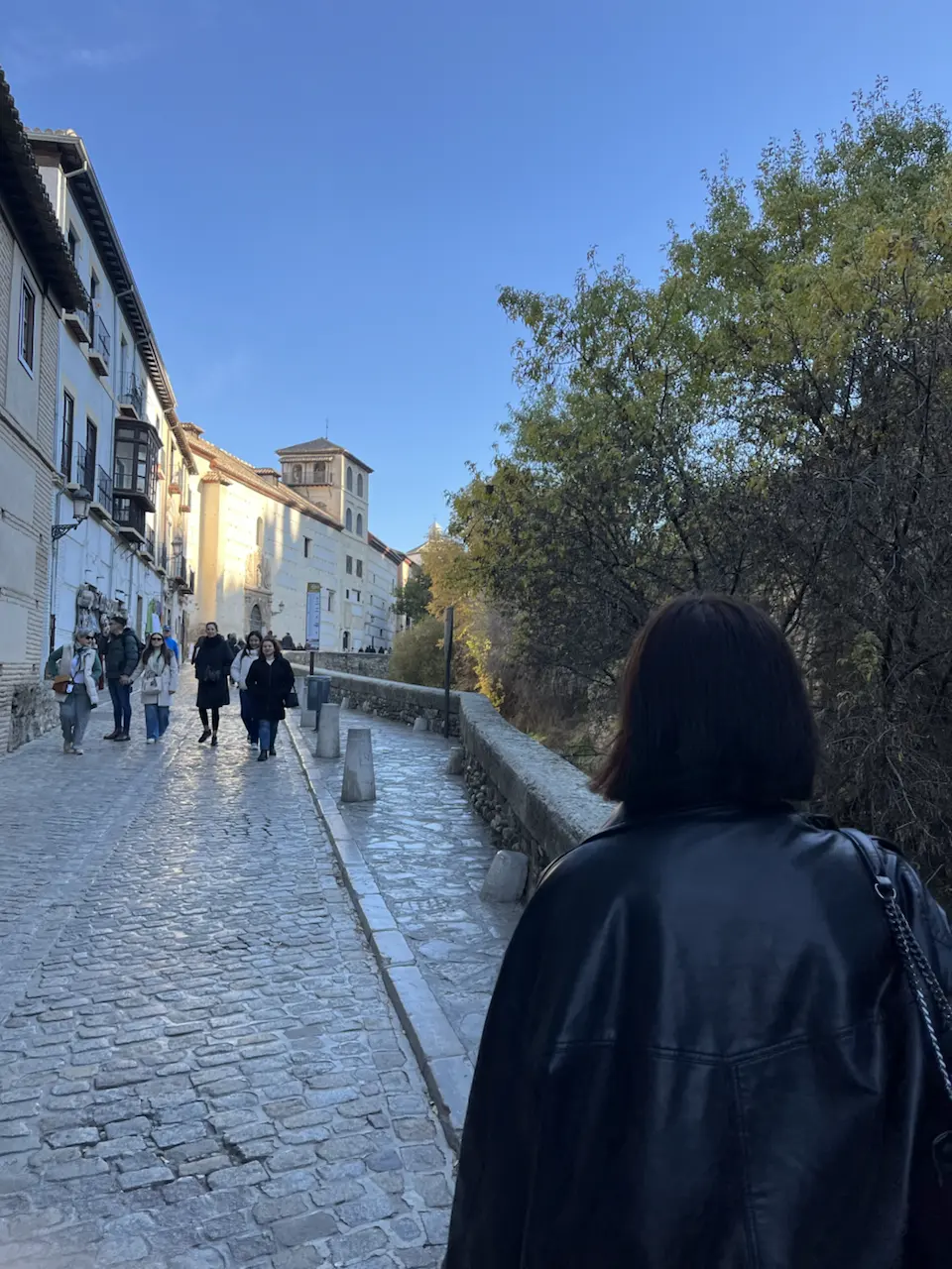 33 Carrera del Darro