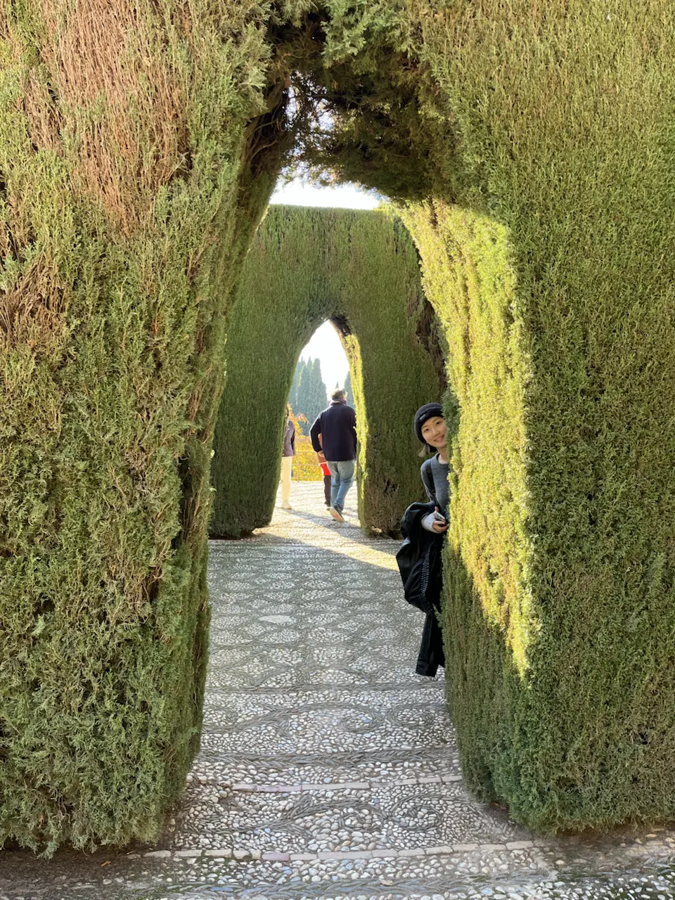 Cuesta del Rey Chico