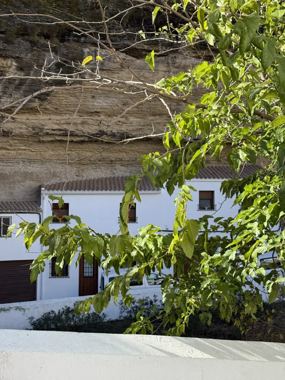 107–199 Calle de las Cuevas del Sol, Setenil de Las Bodegas