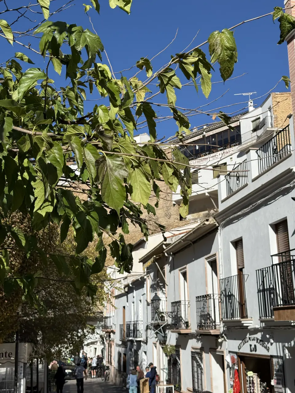 27 Calle Cuevas de la Sombra