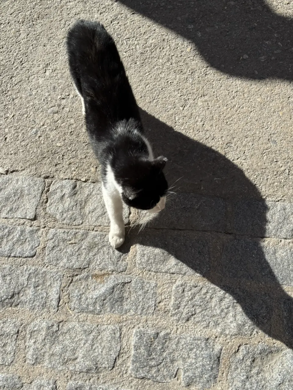 27 Calle Cuevas de la Sombra