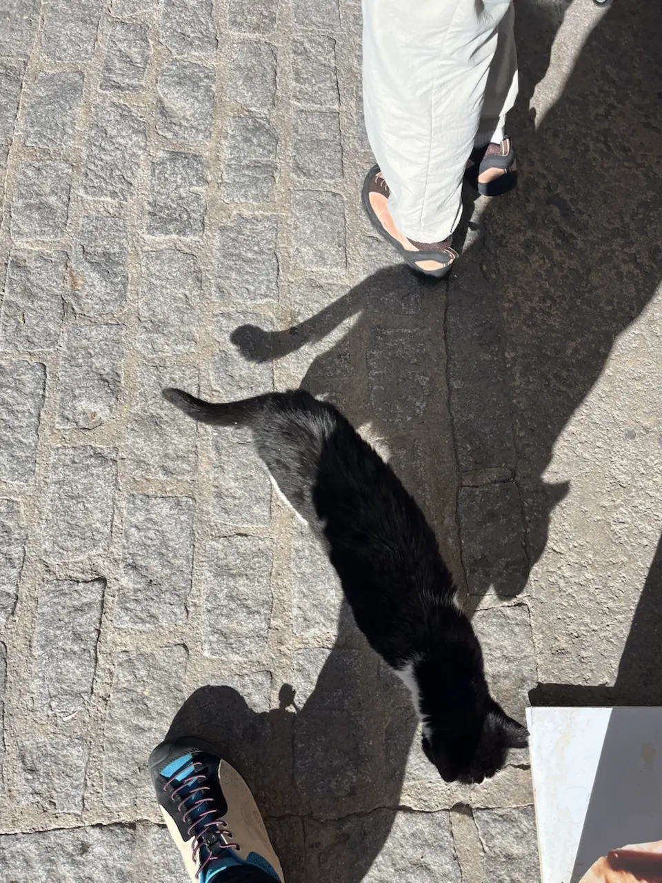 27 Calle Cuevas de la Sombra