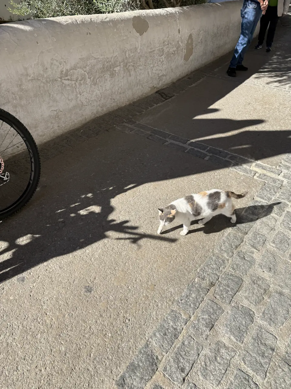 27 Calle Cuevas de la Sombra